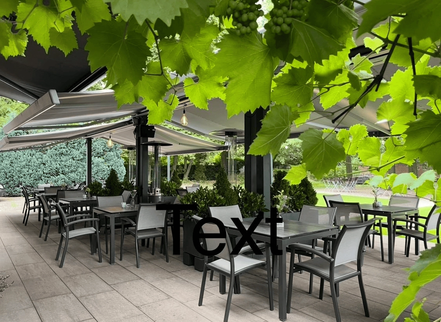 Neuling Weinbar - Gastronomie - restaurant