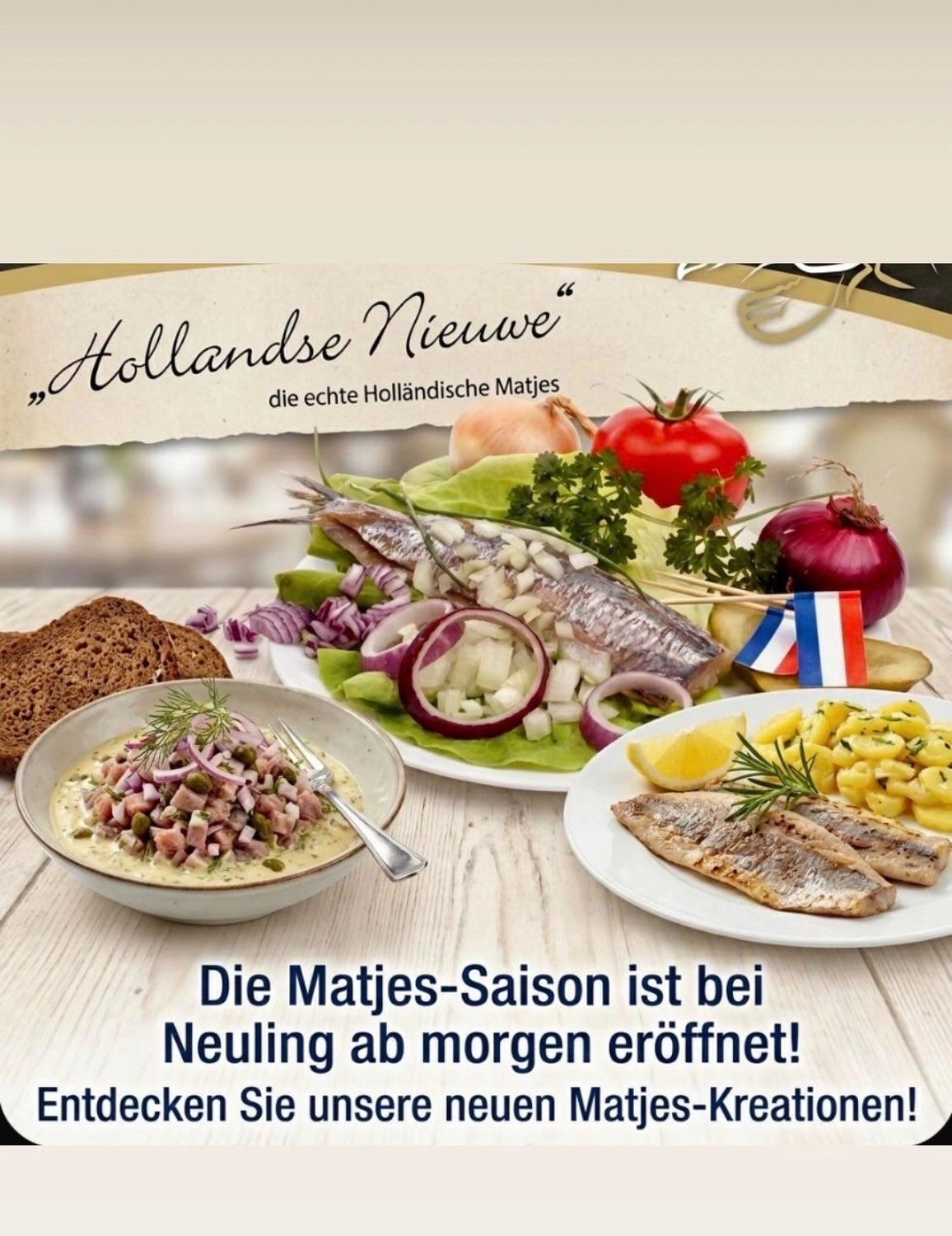 Neuling Weinbar – Gastronomie – Wertgutscheine