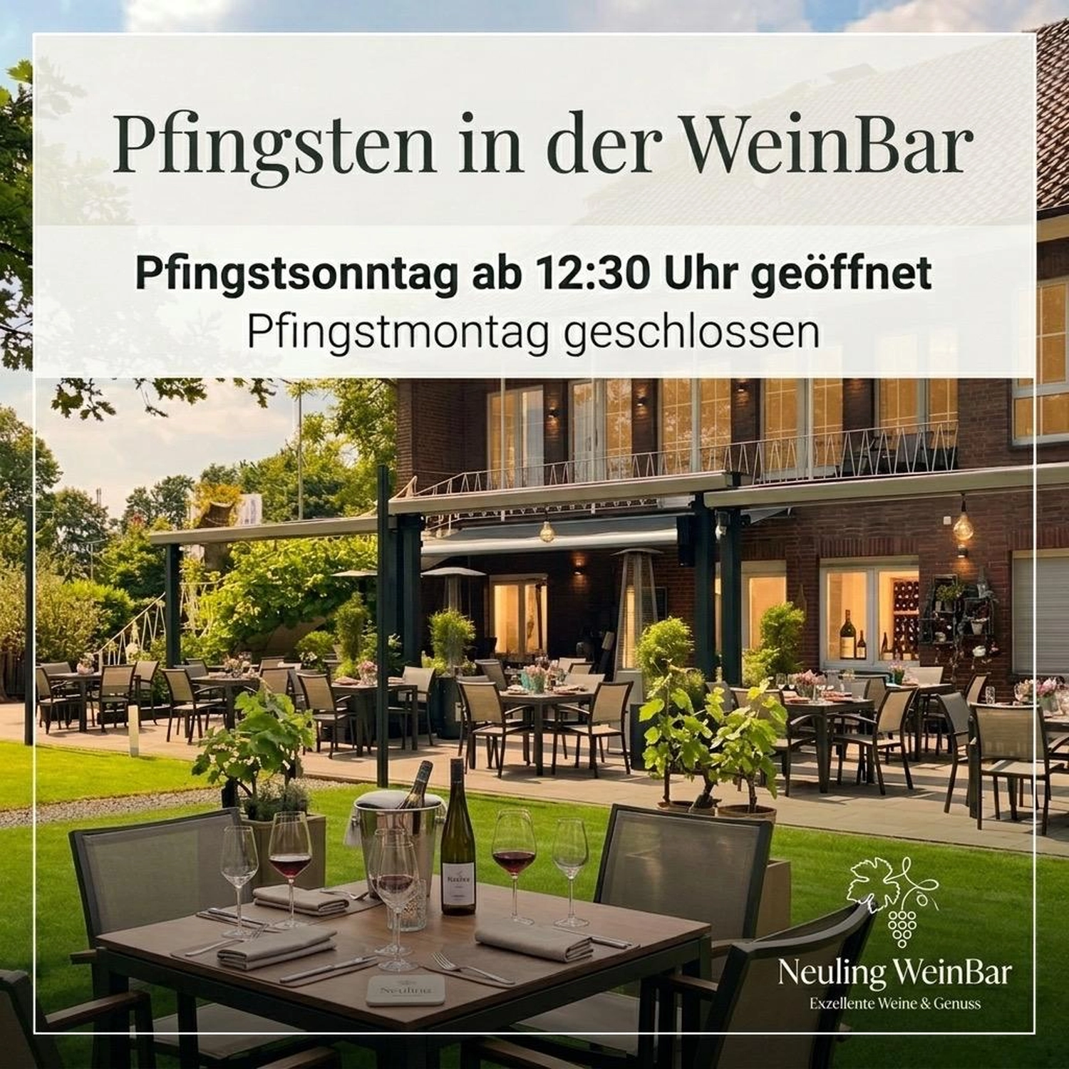 Neuling Weinbar – Gastronomie – Veranstaltungen